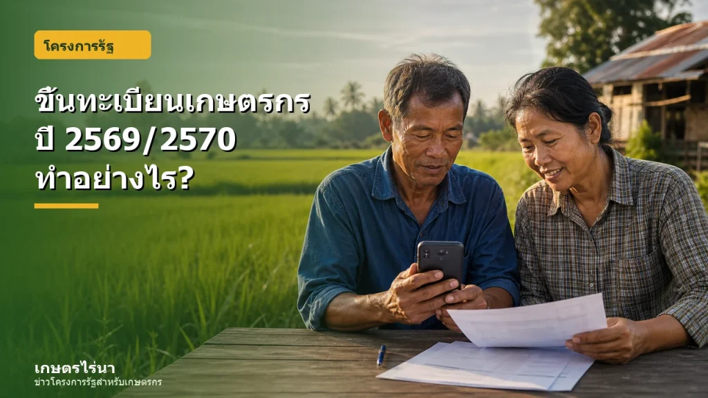 เกษตรกรตรวจสอบข้อมูลขึ้นทะเบียนปี 2569/2570 ผ่านโทรศัพท์