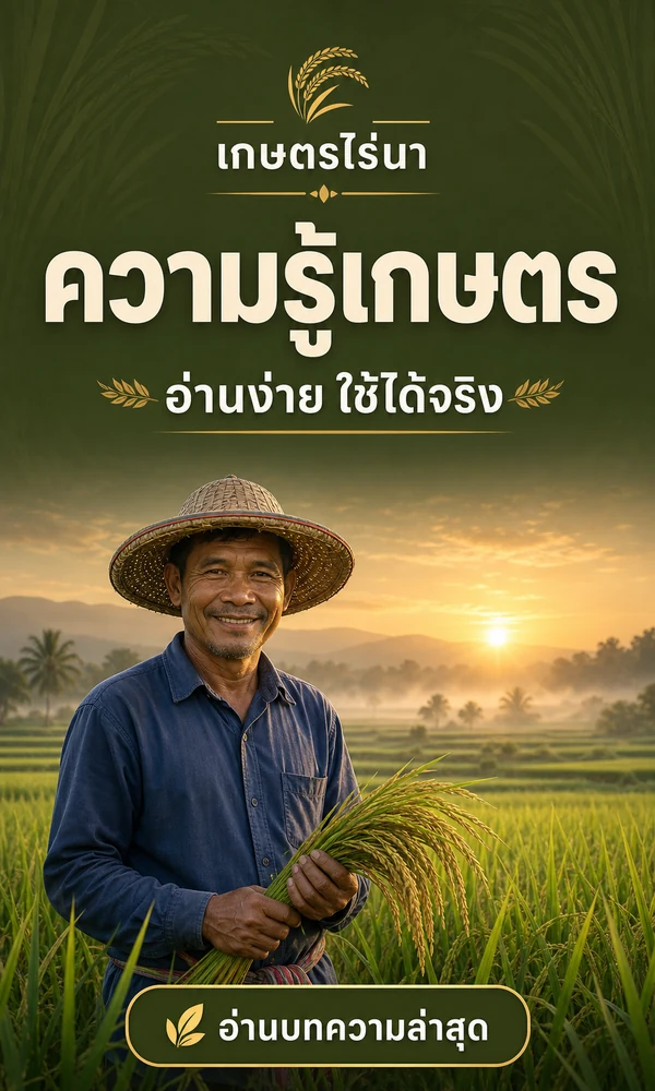 เกษตรไร่นา ความรู้เกษตรอ่านง่าย ใช้ได้จริง