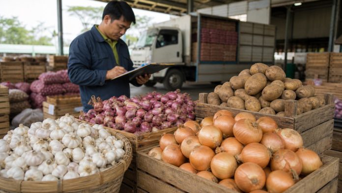 กรอบนำเข้าสินค้าเกษตร ปี 2569 กระเทียม หอมแดง หอมหัวใหญ่ และมันฝรั่งในตลาดสินค้าเกษตร