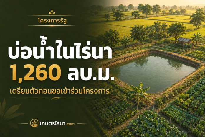 โครงการแหล่งน้ำในไร่นา 1,260 ลบ.ม. ภาพประกอบบ่อน้ำในไร่นาท่ามกลางแปลงเกษตร พร้อมข้อความ บ่อน้ำในไร่นา 1,260 ลบ.ม.