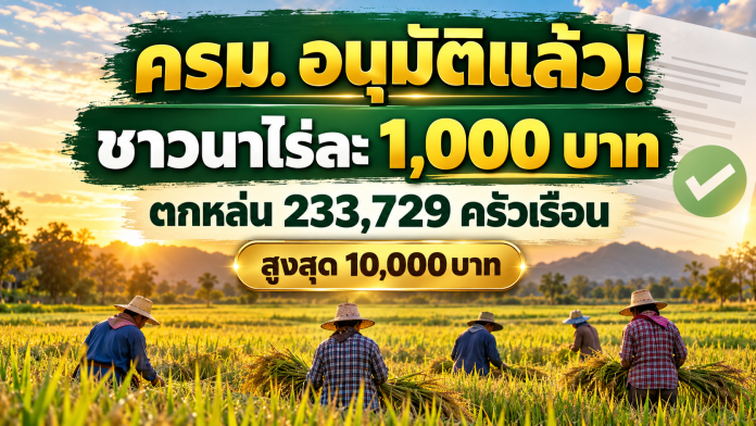 เงินช่วยเหลือชาวนาไร่ละ 1,000 บาท 2569 รอบตกหล่น ชาวนาในนาข้าวพร้อมข้อความ ครม. อนุมัติเงินไร่ละ 1,000 บาท สำหรับกลุ่มตกหล่น 233,729 ครัวเรือน