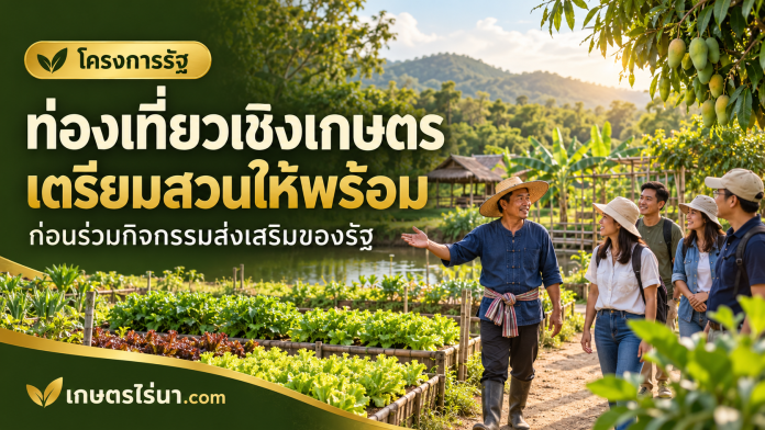 agritourism-cover เกษตรกรนำผู้เยี่ยมชมเดินชมแปลงผักและสวนผลไม้ พร้อมข้อความท่องเที่ยวเชิงเกษตร เตรียมสวนให้พร้อม