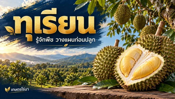 crop-8-cover ภาพประกอบทุเรียน พร้อมข้อความหัวข้อและชื่อเกษตรไร่นา