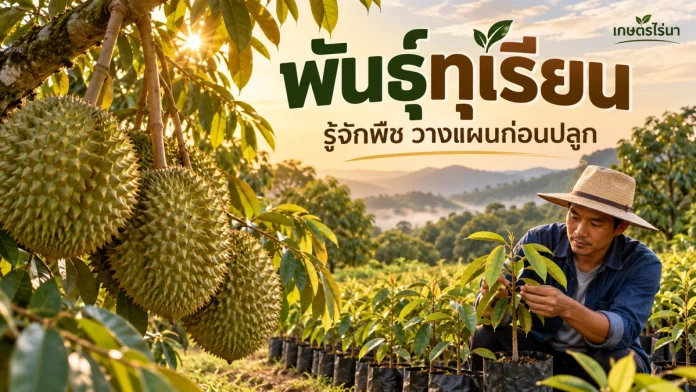 crop-9-cover ภาพประกอบพันธุ์ทุเรียน พร้อมข้อความหัวข้อและชื่อเกษตรไร่นา