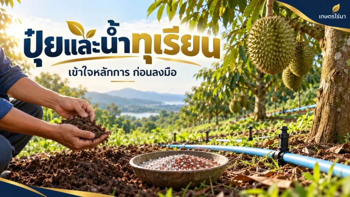 dr-1-cover ปุ๋ยและน้ำทุเรียน ภาพประกอบพร้อมข้อความไทย