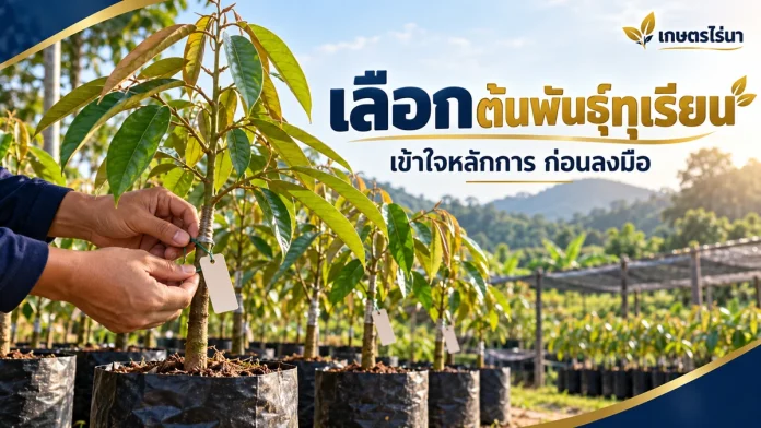dr-5-cover เลือกต้นพันธุ์ทุเรียน ภาพประกอบพร้อมข้อความไทย