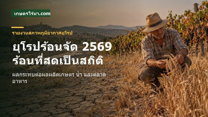 ยุโรปร้อนจัด 2569 กระทบภาคเกษตร เกษตรกรยุโรปตรวจแปลงที่ได้รับผลกระทบจากคลื่นความร้อนปี 2569