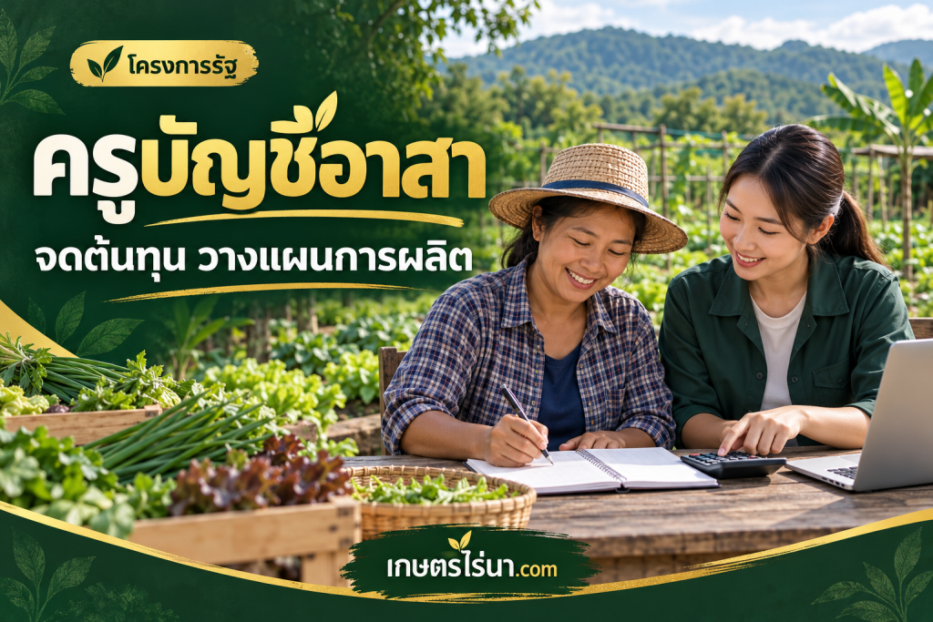 ภาพประกอบเกษตรกรเรียนรู้การทำบัญชี พร้อมข้อความ ครูบัญชีอาสา จดต้นทุน วางแผนการผลิต