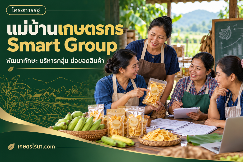 ภาพประกอบสมาชิกกลุ่มแม่บ้านเกษตรกรวางแผนสินค้า พร้อมข้อความ แม่บ้านเกษตรกร Smart Group