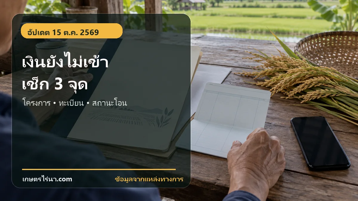เงินยังไม่เข้า เช็ก 3 จุด: โครงการ ทะเบียน และสถานะโอน