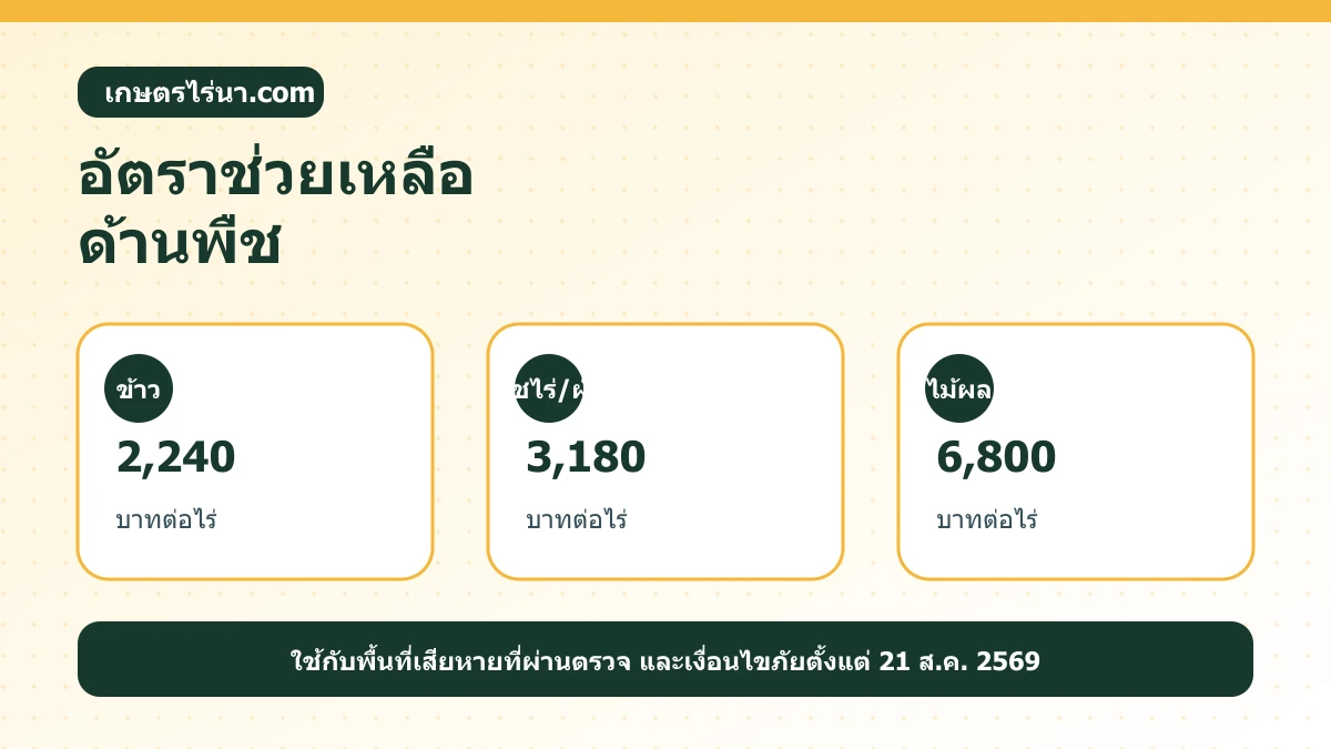 อินโฟกราฟิกอัตราช่วยเหลือด้านพืช ข้าว พืชไร่พืชผัก และไม้ผล ปี 2569