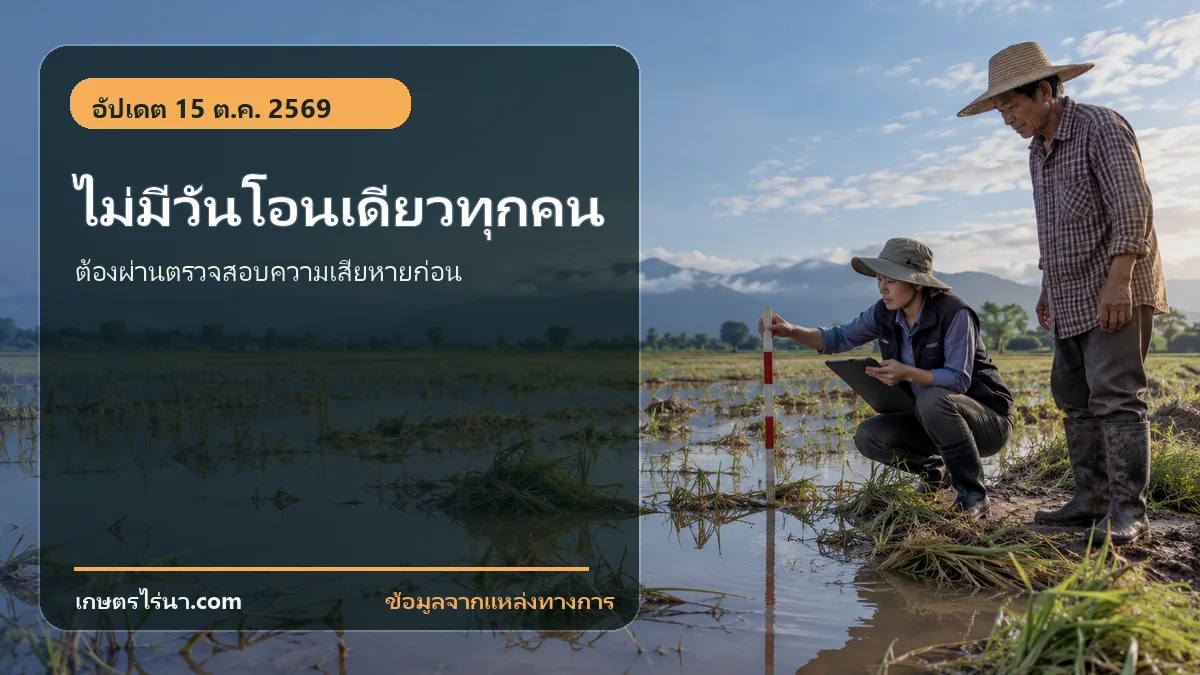 ไม่มีวันโอนเดียวทุกคน ต้องผ่านตรวจสอบความเสียหายและอนุมัติก่อน
