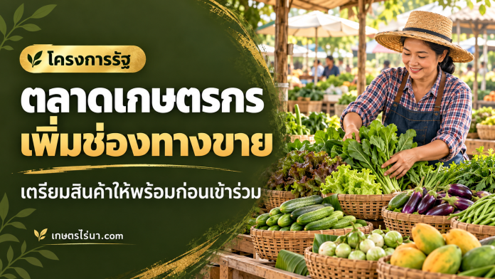 ตลาดเกษตรกร เพิ่มช่องทางขาย ภาพประกอบเกษตรกรขายผักในตลาด พร้อมข้อความ ตลาดเกษตรกร เพิ่มช่องทางขาย