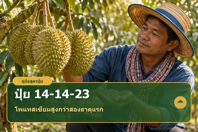 fertilizer-14-14-23-cover ภาพปกบทความปุ๋ยสูตร 14-14-23 พร้อมข้อความวิธีใช้และคำนวณ NPK