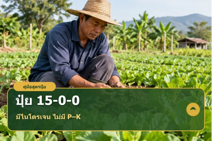 fertilizer-15-0-0-cover หน้าปกคู่มือปุ๋ยสูตร 15-0-0 เตือนให้ตรวจชื่อสารและธาตุรองบนฉลาก