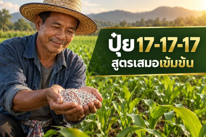 fertilizer-17-17-17-cover หน้าปกคู่มือปุ๋ยสูตร 17-17-17 พร้อมข้อความสูตรเสมอเข้มข้น