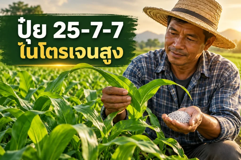 หน้าปกคู่มือปุ๋ยสูตร 25-7-7 พร้อมข้อความไนโตรเจนสูง