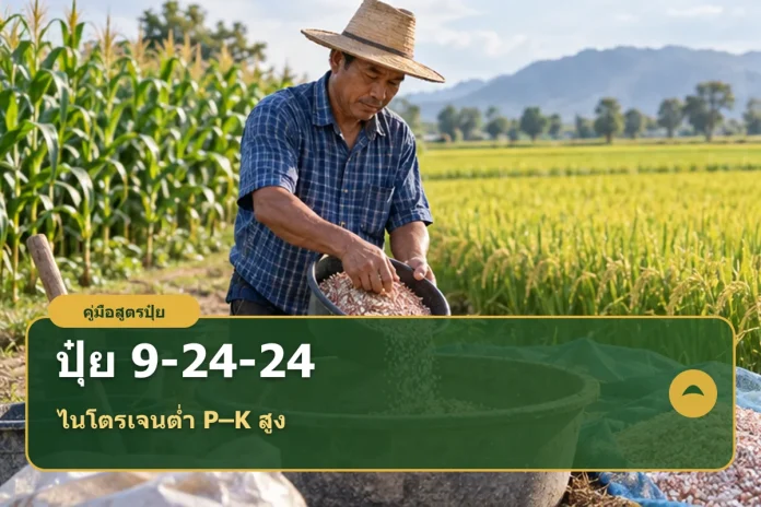 fertilizer-9-24-24-cover ภาพปกบทความปุ๋ยสูตร 9-24-24 พร้อมข้อความเลือกใช้ตามผลวิเคราะห์ดิน