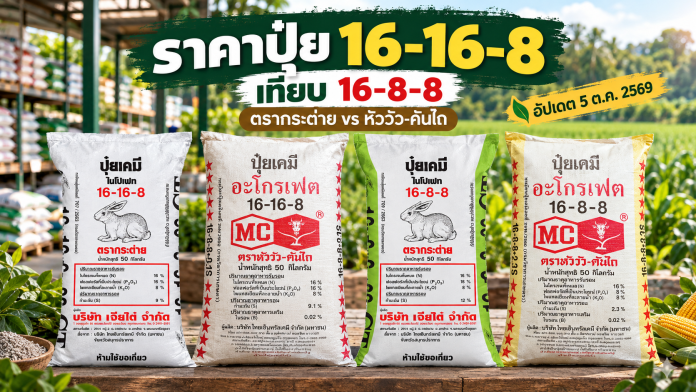 fertilizer-price-16-16-8-vs-16-8-8-real-products-cover เปรียบเทียบราคาปุ๋ย 16-16-8 และ 16-8-8 ตรากระต่ายกับตราหัววัว-คันไถ อัปเดต 5 ตุลาคม 2569