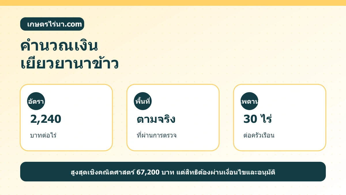 อินโฟกราฟิกคำนวณเยียวยานาข้าว 2240 บาทต่อไร่ ตามพื้นที่เสียหายจริงสูงสุด 30 ไร่