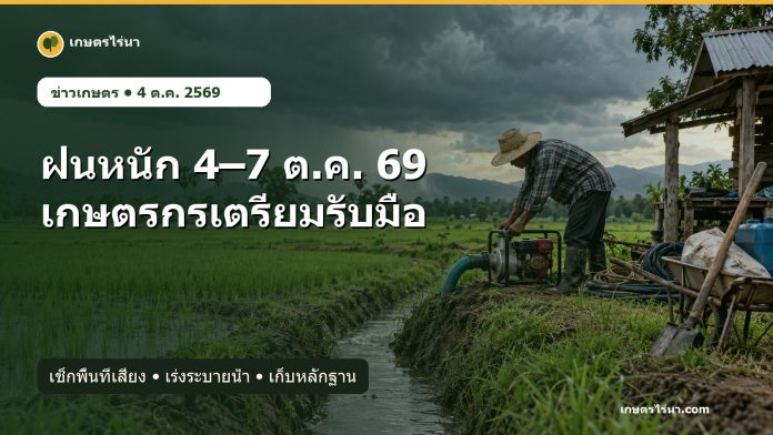 heavy-rain-farm-preparation-2569-cover เกษตรกรเตรียมเครื่องสูบน้ำในนาข้าวก่อนฝนหนักช่วง 4–7 ตุลาคม 2569