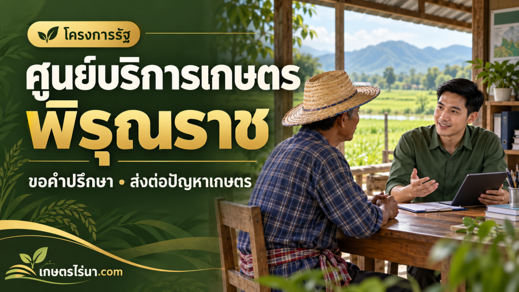 ภาพประกอบศูนย์บริการเกษตรพิรุณราช เกษตรกรปรึกษาผู้ให้บริการ พร้อมข้อความขอคำปรึกษาและส่งต่อปัญหาเกษตร