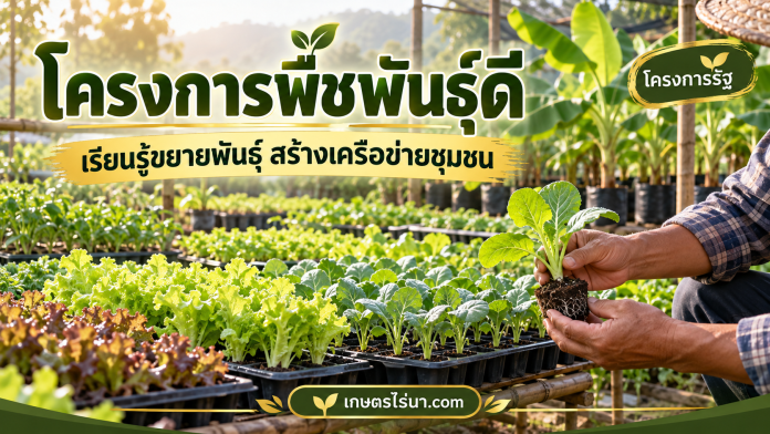 plant-propagation-cover กล้าพืชในเรือนเพาะชำ พร้อมข้อความ โครงการพืชพันธุ์ดี เรียนรู้ขยายพันธุ์ สร้างเครือข่ายชุมชน