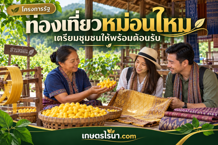 silk-tourism-cover ภาพประกอบช่างไหมแนะนำรังไหมแก่ผู้เยี่ยมชม พร้อมข้อความ ท่องเที่ยวหม่อนไหม เตรียมชุมชนให้พร้อมต้อนรับ