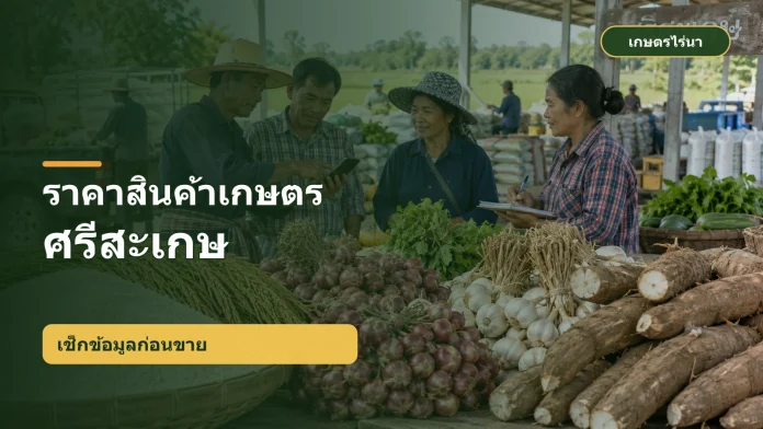 sisaket-agri-prices-featured