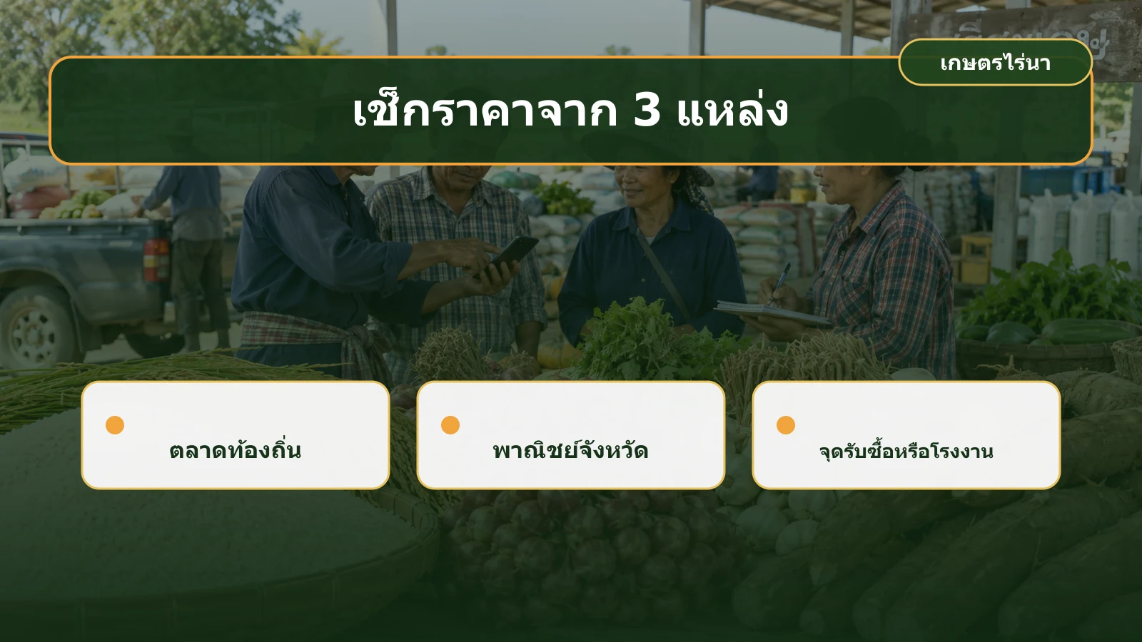 สามแหล่งตรวจสอบราคาสินค้าเกษตรในจังหวัดศรีสะเกษ