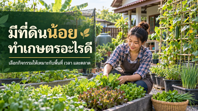 small-land-farming-ideas-cover เกษตรกรดูแลผักในสวนขนาดเล็กข้างบ้าน