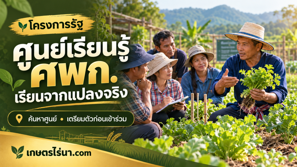 ภาพประกอบกลุ่มเกษตรกรเรียนรู้ในแปลงผัก พร้อมข้อความ ศูนย์เรียนรู้ ศพก. เรียนจากแปลงจริง