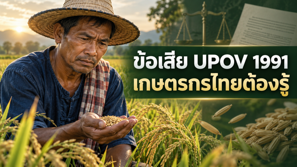 ข้อเสีย UPOV 1991 ต่อเกษตรกรไทยและสิทธิเมล็ดพันธุ์