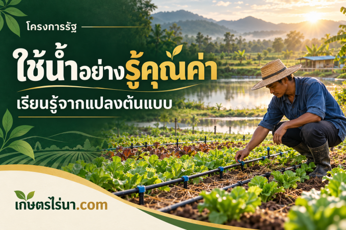 water-learning-cover ภาพประกอบเกษตรกรตรวจระบบน้ำในแปลงผัก พร้อมข้อความ ใช้น้ำอย่างรู้คุณค่า เรียนรู้จากแปลงต้นแบบ